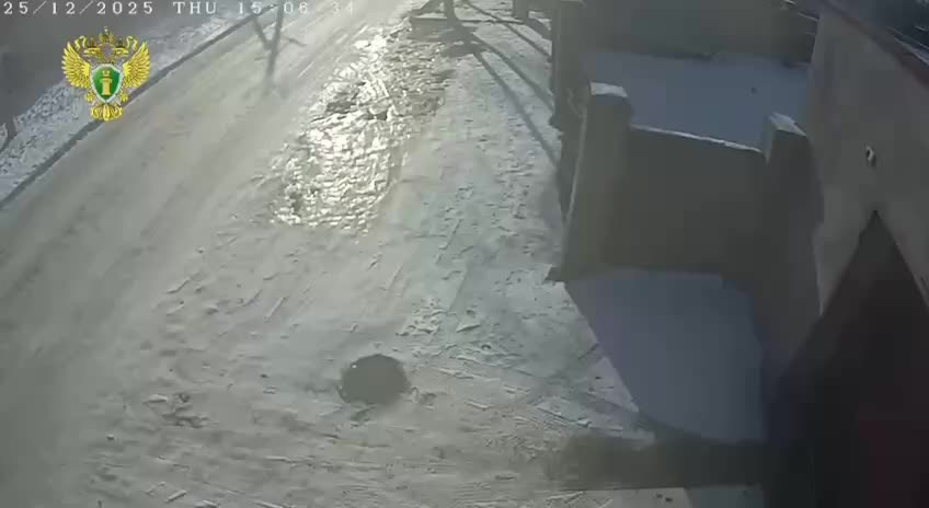 В Приморье возбуждено уголовное дело после убийства собаки