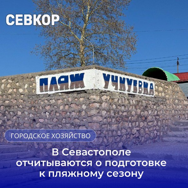 26 пляжей в Севастополе готовят к летнему сезону Губернатор Севастополя Михаил Развожаев подчеркнул, что вопрос подготовки пляжей к летнему сезону — это «чувствительная тема, всегда что-то кажется, что не доработано», но в этом году, по его словам, операторы пляжей подошли системно. Какие пляжи будут официально открыты в этом году читайте на нашем сайте. Не найден пока оператор для пляжа «Вязовая роща». Вскоре будет объявлен повторный конкурс для выбора оператора. В настоящий момент Роспотребнадзор проверил все пляжи: пробы воды и грунта соответствуют нормативным показателям. Идут работы по подготовки их к купальному сезону: подсыпка песка, установка урн, пляжной мебели, раздевалок, санитарная очистка, подготовка спасателей. На 23 пляжах есть стационарные укрытия. Заканчивается установка дополнительных 100 камер видеонаблюдения, все они будут подключены к системе «Безопасный город». Читайте Севкор