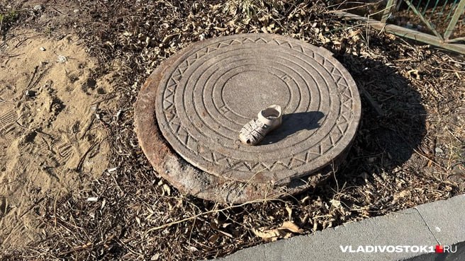 Каждый четвёртый пропавший ребёнок в России из Приморья Регион стал лидером России по числу исчезновений детей за 11 месяцев 2025 года С января по ноябрь 2025 года по всей стране разыскивались 885 детей Приморский край возглавил антирейтинг с 203 ориентировками втрое больше чем в Свердловской области 70 и значительно выше Кемеровской области 64 Калининграда 58 и Татарстана 31 В Москве и Подмосковье зафиксировано 30 случаев Такие данные приводят разработчики приложения Где мои дети созданного совместно с Ассоциацией Поиск пропавших детей Из всех исчезнувших удалось найти живыми 839 несовершеннолетних погибшими 21 Ещё 25 остаются в розыске Пик заявлений пришёлся на май 124 случая Минимум фиксировался в январе 54 Эксперты связывают высокие показатели Приморья с активной работой добровольцев и выстроенной системой взаимодействия с МВД Подписаться