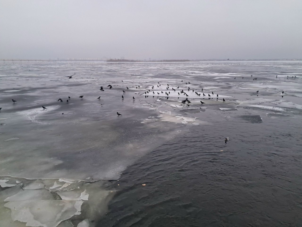 Под Саратовом спасли рыбака провалившегося под лед ЧП случилось 20 декабря вблизи канала Алексеевский Рыбак вышел на лед и провалился На место прибыли спасатели Им удалось вызволить мужчину Ему оказали необходимую медицинскую помощь сообщил глава Балаковского района Сергей Барулин Саратовцам напоминают что толщина льда не достигла безопасного уровня Выход на воду запрещен с 19 декабря по 31 декабря и с 15 марта до 15 апреля 2026 года За нарушение предусмотрен штраф Мы в MAX Мы в TG Прислать новость