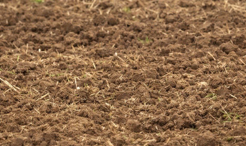 Росприроднадзор предъявил иск нефтяной компании в Калмыкии за ущерб почвам Загрязнение на трех месторождениях ЗАО Ильменскнефть в степном регионе выявило Нижне Волжское межрегиональное управление ведомства Его площадь составила 145 кв метров земель Компании выдано предписание об устранении нарушений и добровольном возмещении причиненного вреда Рассчитанный специалистами Росприроднадзора экологический ущерб составил 1 156 369 рублей На компанию и должностное лицо наложен административный штраф в размере 250 тысяч рублей Если ЗАО Ильменскнефть откажется компенсировать ущерб почвам региона Росприроднадзор обратится за взысканием средств через Арбитражный суд Калмыкии Источник Росприроднадзор Быть в курсе Прислать новость Также подписывайтесь на наш новостной канал в MAX Вести Калмыкия