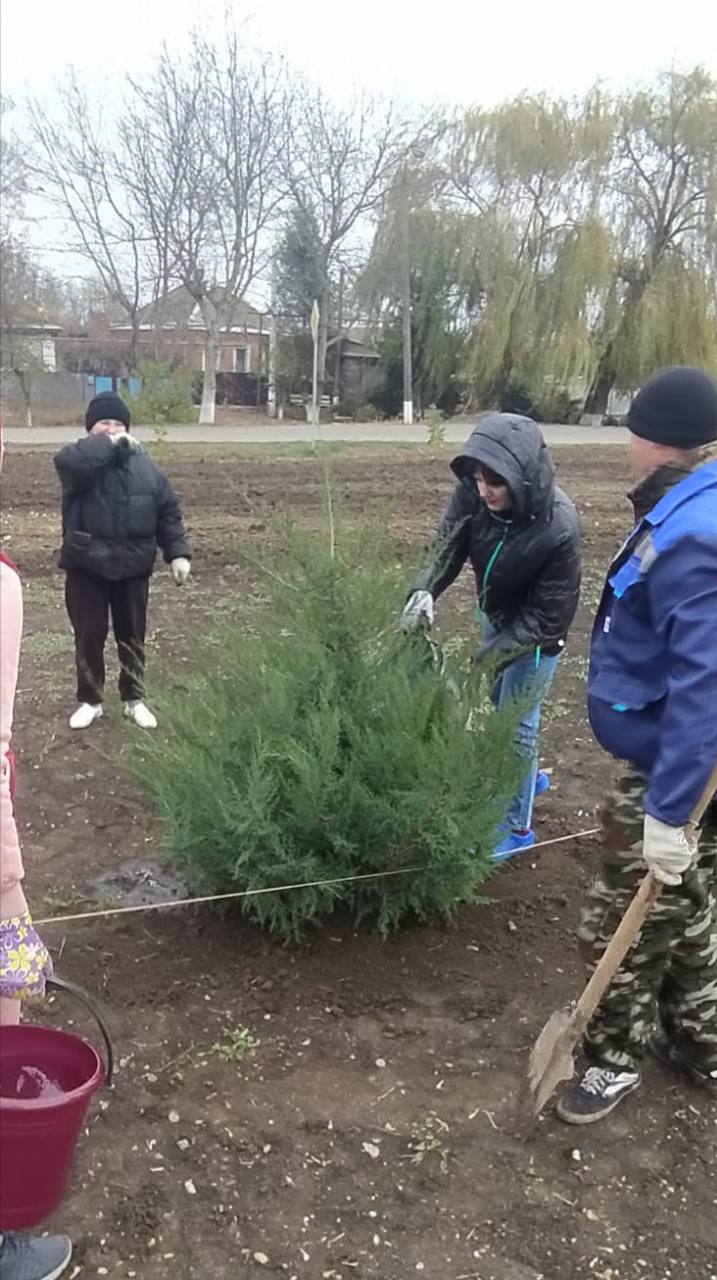 В целях увековечивания памяти погибших участников СВО - жителей Бейсугского сельского поселения - земляки  высадили в новодонецком парке 31 хвойное дерево    А ещё сегодня День образования Всероссийской политической партии «ЕДИНАЯ РОССИЯ».   К этой дате в парке навели санитарный порядок - вывезли мусор, подмели дорожки, убрали сухую сорную растительность.   Акцию поддержали: секретарь первичного отделения Партии № 08-03 - Нурматова В.В., члены партии Единая Россия и жители ст. Новодонецкой - всего 47 человек.    Власть Советов