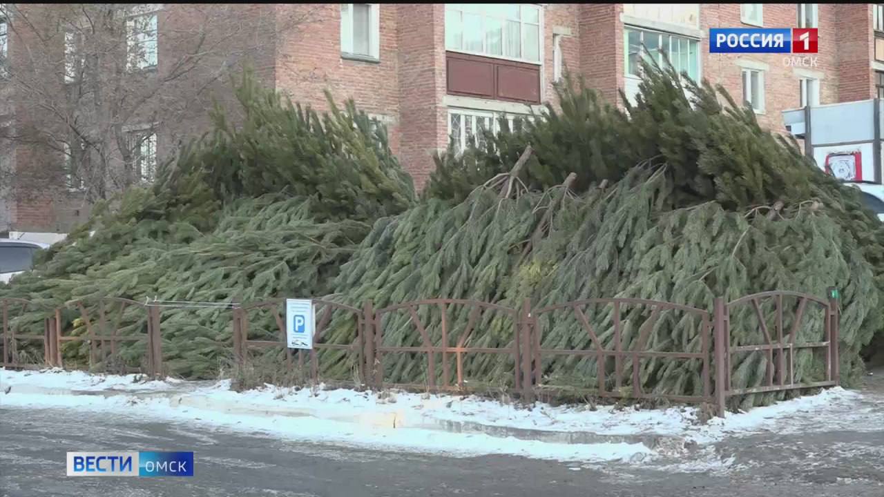 В Омске определили места для елочных базаров В Октябрьском округе города определены места где будут организованы елочные базары проспект Космический 18 Д ул Кирова 10 ул Кирова 16 3 ул Кирова 20 ул Кирова 49 1 ТК Панорама Центр проспект Космический 26 А ул 75 й Гв Бригады 18 ул Масленникова 179 проспект Космический 52 рынок Октябрьский ул 75 й Гв Бригады 1 Г проспект Космический 17 Б ТЦ Октябрьский проспект Космический 17 Б у бывшего к т Космос ул Рощинская д 1 ТК Роща Кроме того начиная с 1 декабря во всех округах города будут проводиться рейды для предотвращения нелегальной торговли новогодними елками Написать в редакцию Читать Вести Омск в МАХ