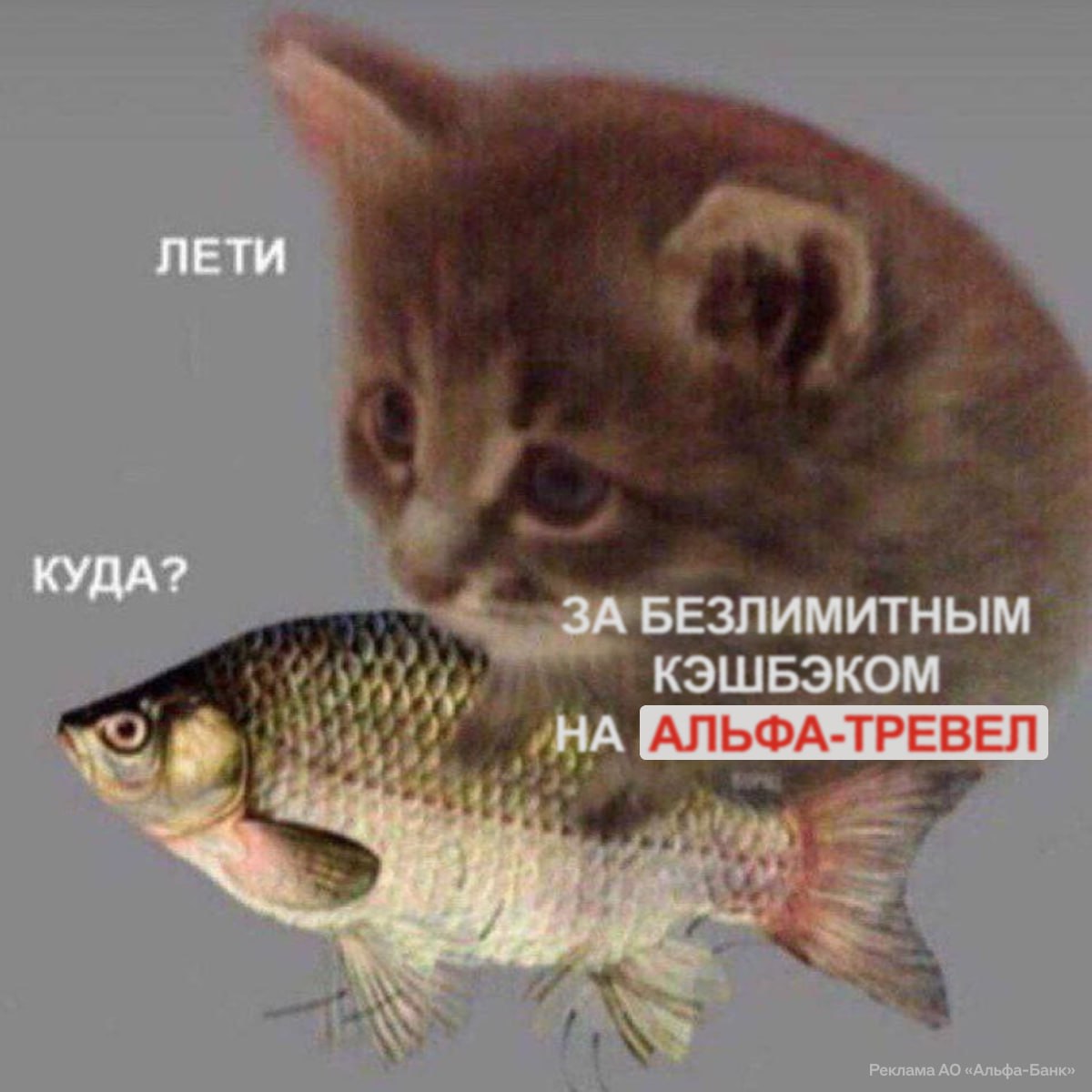 Альфа-Банк даёт безлимитный кэшбэк на путешествия. За отели вернут 20%, за авиабилеты — 10%. Сняли номер за 100 тысяч рублей и вернули 20 тысяч — вот так просто. Ещё есть кэшбэк на поезда и готовые туры, подробности можно посмотреть в Альфа-Тревел. Чтобы сэкономить, нужно зайти в сервис и оплатить отдых картой банка до 30 июня. Даты поездки могут быть любые.