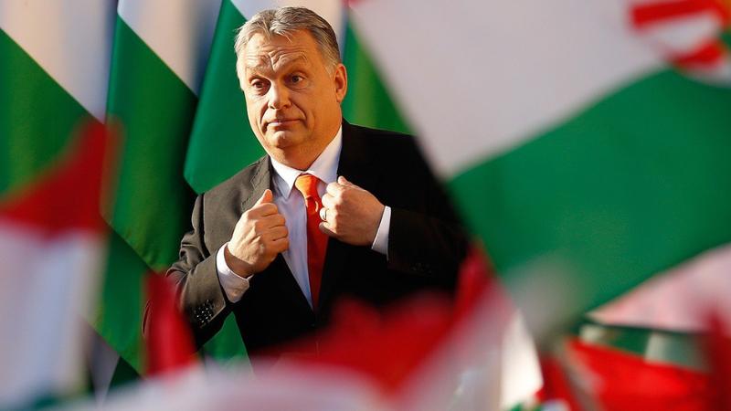Венгрия заменит российскую нефть поставками из Одессы В связи с давлением Европейского союза ЕС на Венгрию нефтяная компания MOL начала рассматривать альтернативные варианты поставок нефти по трубопроводу. Об этом пишет американское агентство Bloomberg со ссылкой на вице-президента MOL Сабольча Паля, передает gazeta.ru.