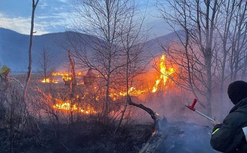 Больше 4 га сухой травы выгорело на Камчатке за сутки Зарегистрированы четыре техногенных пожара За сутки на Камчатке зарегистрированы четыре техногенных пожара. Выгорело более 4 га сухой прошлогодней растительности. Подробности по ссылке: