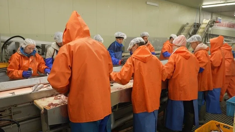 Депутаты Камчатки направили протест избыточной отчётности для рыбопромышленных предприятий Обращение о несогласии с отчётностью рыбопромышленных предприятий в правительство РФ и Совет Федерации направили депутаты Камчатки С 1 их обязали предоставлять на Санкт Петербургскую товарно сырьевую биржу данные о сделках объёмом свыше 10 тонн Цель мероприятия отслеживать цены и сформировать национальные ценовые индикаторы Парламент Камчатки предложил исключить обязанность предоставлять информацию о внебиржевых сделках на частную биржу из за избыточной отчётности Рыбаки итак предоставляют отчёты в налоговую службу таможню Росрыболовство и органы статистики Депутаты считают что посредник в лице биржи усложнит работу предприятий а за инициативой стоят коммерческие интересы отдельных групп а не забота о прозрачности рынка Подписывайтесь на Недебри в Max