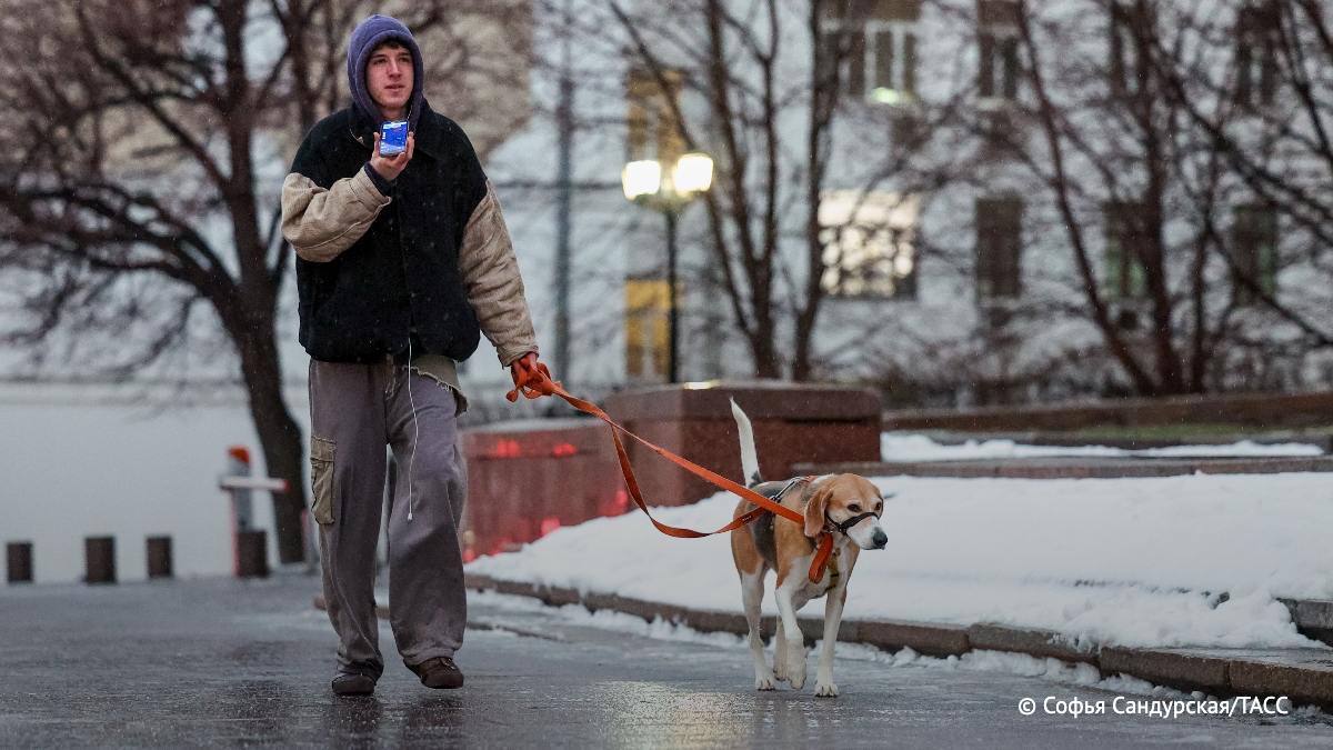 Желтый уровень погодной опасности ввели на трое суток в Москве из-за гололедицы.     / Москва