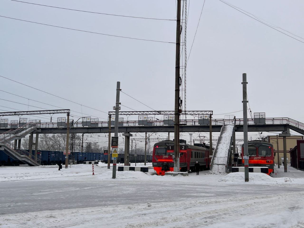 В Барнауле поездом травмирован пешеход  Как сообщили транспортные полицейские, 37-летний мужчина прибыл в Барнаул на электропоезде. По предварительным данным, после выхода из вагона он пренебрег правилами безопасности и, двигаясь между путями, был травмирован проходящим грузовым составом.   С места происшествия пострадавшего доставили в городскую больницу с различными травмами. Также установлено, что пешеход находился в алкогольном опьянении.    Подписывайтесь на "Толк"