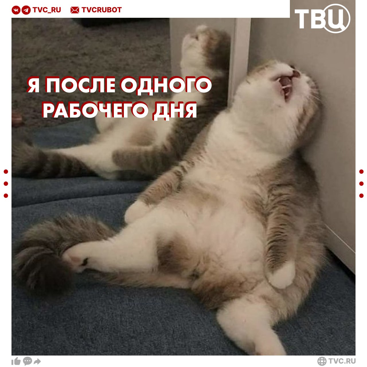В Китае нашли способ справляться с рабочими понедельниками: там открыли клинику для людей, которые не хотят ходить на работу. В учреждении помогают трудягам с усталостью, истощением и депрессией из-за работы. ? Конечно! Мне будет полезно — Ерунда какая-то —