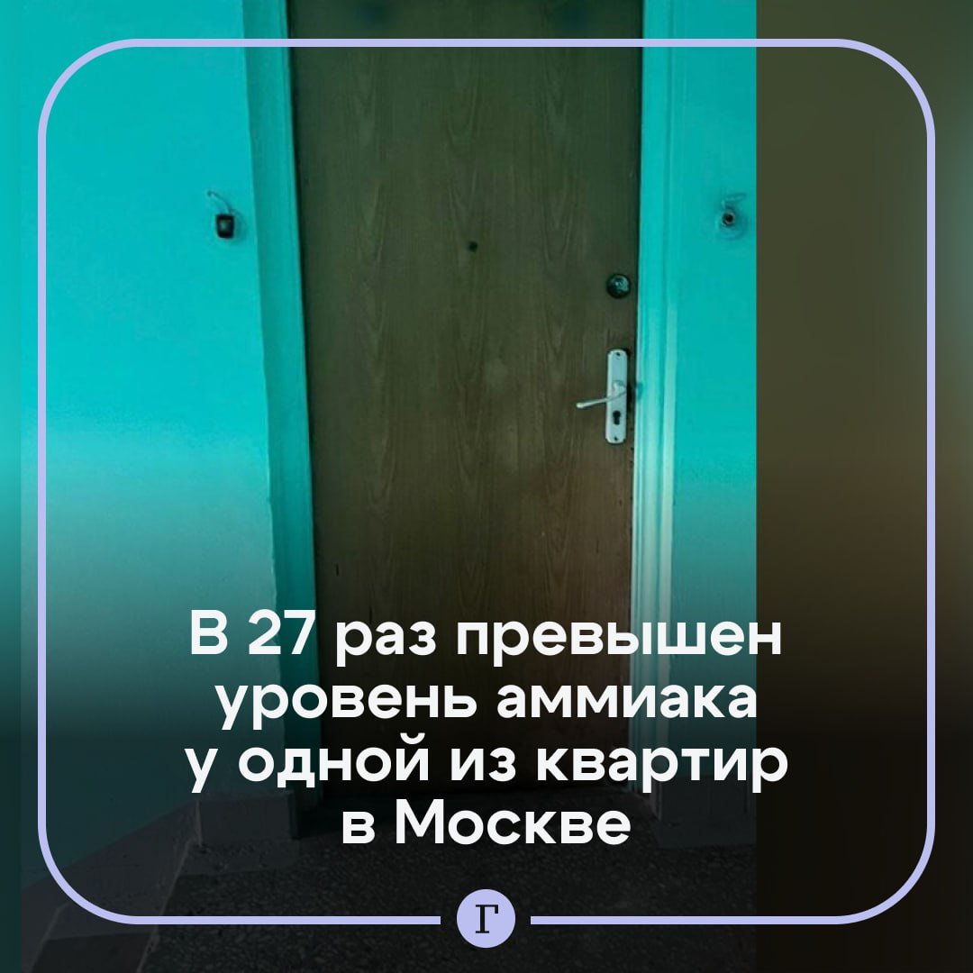 Уровень аммиака в воздухе превышен в 27 раз: Жильцы просят защитить их от «кошачьей квартиры».  На севере столицы жители одного из домов обратились в прокуратуру с жалобой на соседа, который содержит в квартире не менее 20 котов. Заявители просят спасти квартиросъемщиков, страдающих от запаха и животных, живущих в антисанитарных условиях.   В ходе проверки было установлено, что уровень аммиака в воздухе рядом с квартирой превышает допустимую норму в 27,5 раза. Иск к нарушителям направлен в суд.   , если хозяина квартиры надо наказать