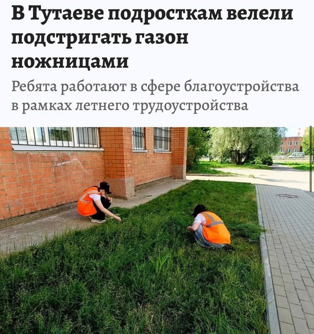 В Ярославской области школьников заставили стричь газон канцелярскими ножницами.   Инцидент произошёл у молодёжного центра в Тутаеве, куда подростки пришли по программе летнего трудоустройства