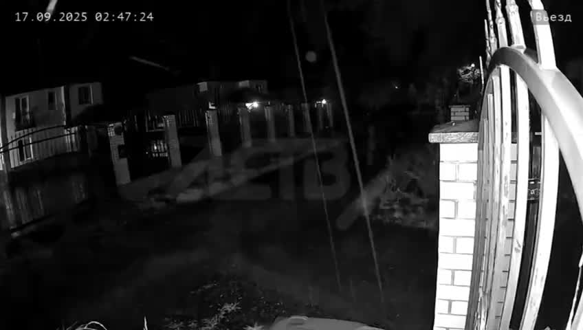 Медведь похитил яблоки в Южно-Сахалинске