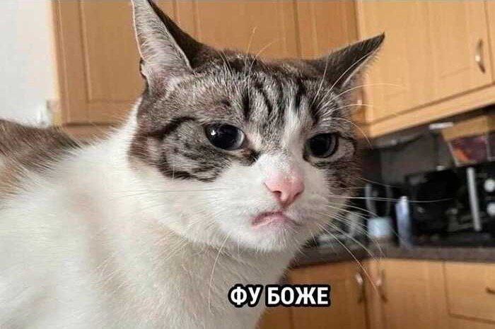 В Омской области вновь объявили режим НМУ первой степени опасности По информации Обь-Иртышского УГМС, с 19:00 10 августа до 08:00 11 августа в Омске и области вновь действуют условия, препятствующие рассеиванию загрязняющих веществ в атмосфере. Напомним, в это время предприятиям стоит снизить выбросы, а горожанам — закрыть окна и меньше находиться на улице. Отметим, что в прошлом месяце в Омске зафиксировали превышение концентрации сероводорода, монооксида и диоксида азота. Подписаться Прислать новость