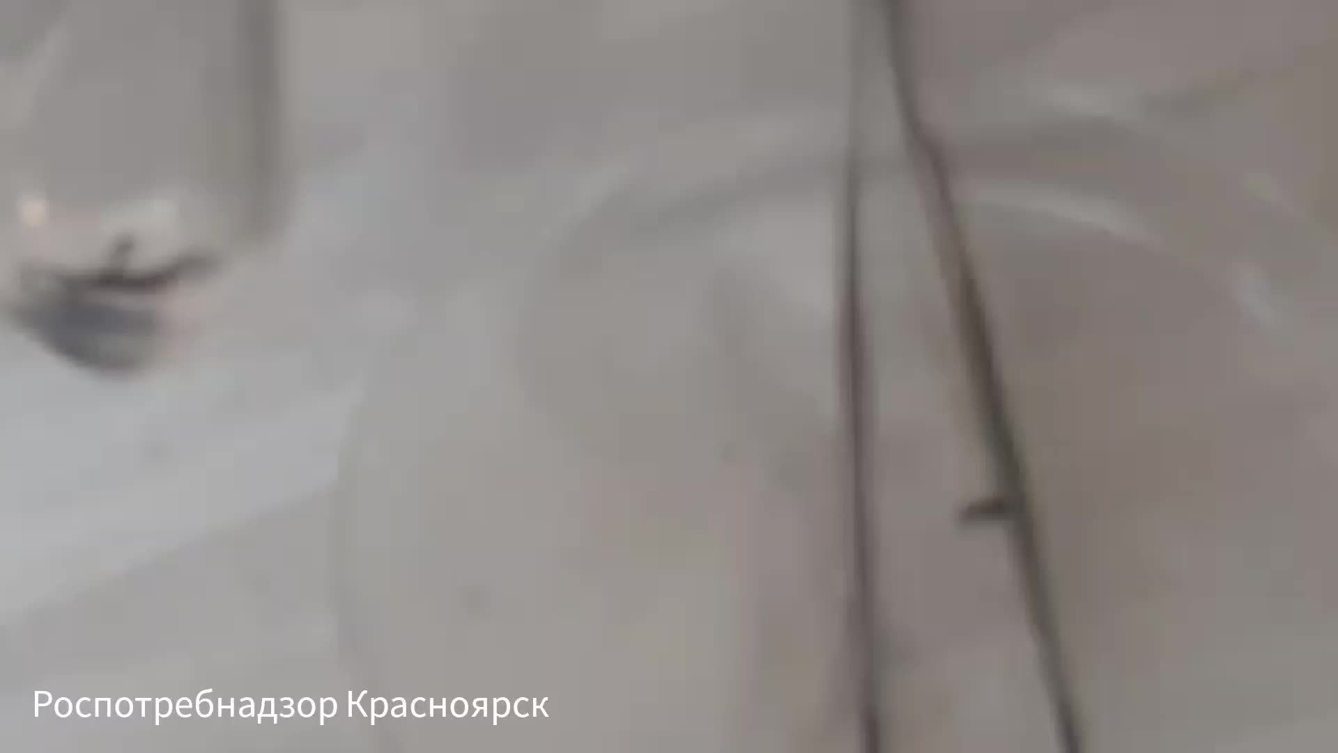 Всемирный день борьбы с энцефалитом: важность вакцинации и профилактики