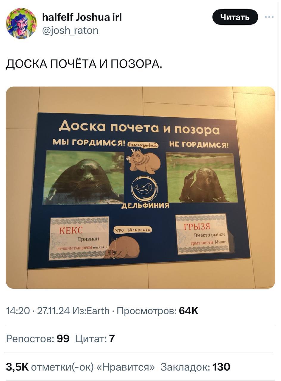 В новосибирском дельфинариуме есть доска почёта и позора с морскими котиками.   Кекс признан лучшим танцором месяца, а Грызя вместо рыбки грыз ногти Миши.