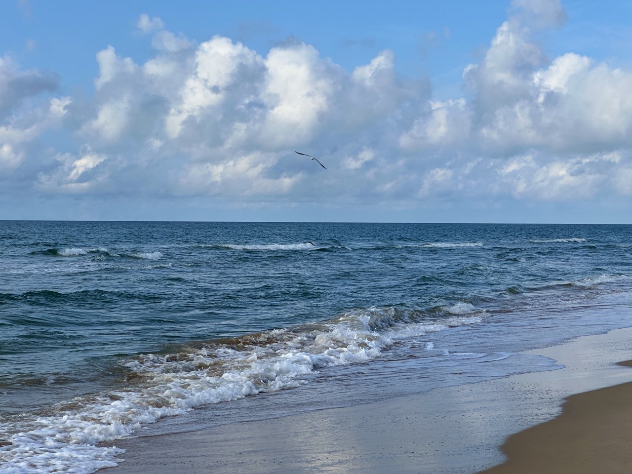 Турпоток в Анапу в этом году снизился на 61 Такие данные за 9 месяцев этого года приводит министерство курортов туризма и олимпийского наследия Краснодарского края С января по сентябрь этого года в Анапе отдохнули 1 7 млн человека без учета однодневных туристов За аналогичный период прошлого года отдыхающих в городе курорте побывало 4 3 млн человек А в целом турпоток за 2024 год составлял 5 5 млн туристов Анапское Черноморье Согласны По моему на 90 минимум снизился турпоток