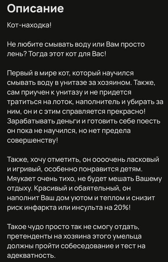 В Подмосковье продаётся кот за двести миллионов рублей — который будет смывать за вами воду в унитазе. За 200 миллионов и я буду.