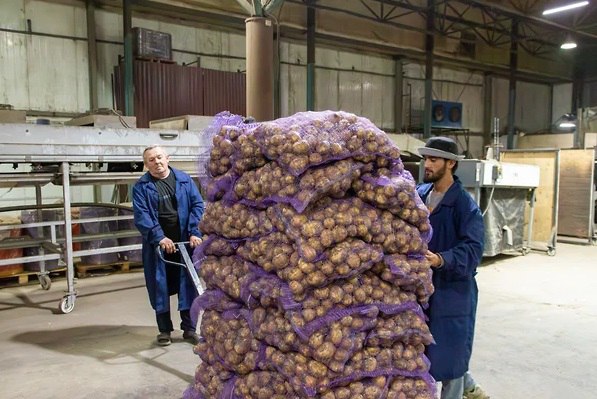 Уровень цифровизации АПК в России остается низким и существенно уступает большинству отраслей экономики показало исследование Цифровое развитие носит неравномерный характер малый и средний бизнес в значительной степени находится вне технологической повестки а инвестиции в цифру в основном формируют крупные игроки По оценкам экспертов совокупный эффект перехода к системной цифровизации для отрасли может обеспечить ей дополнительно 1 1 1 5 трлн руб операционной прибыли к концу 2030 года Впрочем эта цель вряд ли может быть достигнута быстро Егор Снетков Коммерсантъ   Подписывайтесь на Ъ Оставляйте бусты