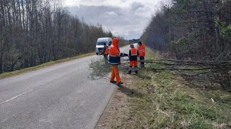 Дорожные службы убрали более 450 аварийных деревьев и кустарников после шквалистого ветра 22 и 23 апреля в Новгородской области наблюдался сильный ветер с порывами до 15 18 м с Плохие погодные условия привели к появлению на областных дорогах упавших деревьев и кустарников ограничивающих видимость и препятствующих движению В этот период устранено свыше 450 единиц аварийной растительности включая 118 деревьев которые были спилены и убраны с проезжей части Работы проводились в десяти округах области В настоящее время подрядные организации продолжают мониторинг дорожной обстановки и принимают меры для обеспечения безопасности движения во всех муниципальных округах