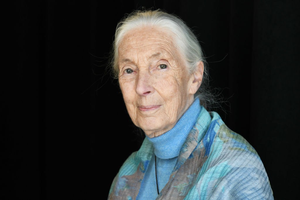 Умерла британский приматолог Джейн Гудолл Ей был 91 год Ученая скончалась во время лекционного турне по США Гудолл известна изучением интеллекта и социальной жизни шимпанзе Она занималась им более 45 лет Ее наблюдения произвели революцию в науке и определили будущее эволюционной науке Больше новостей в Daily News