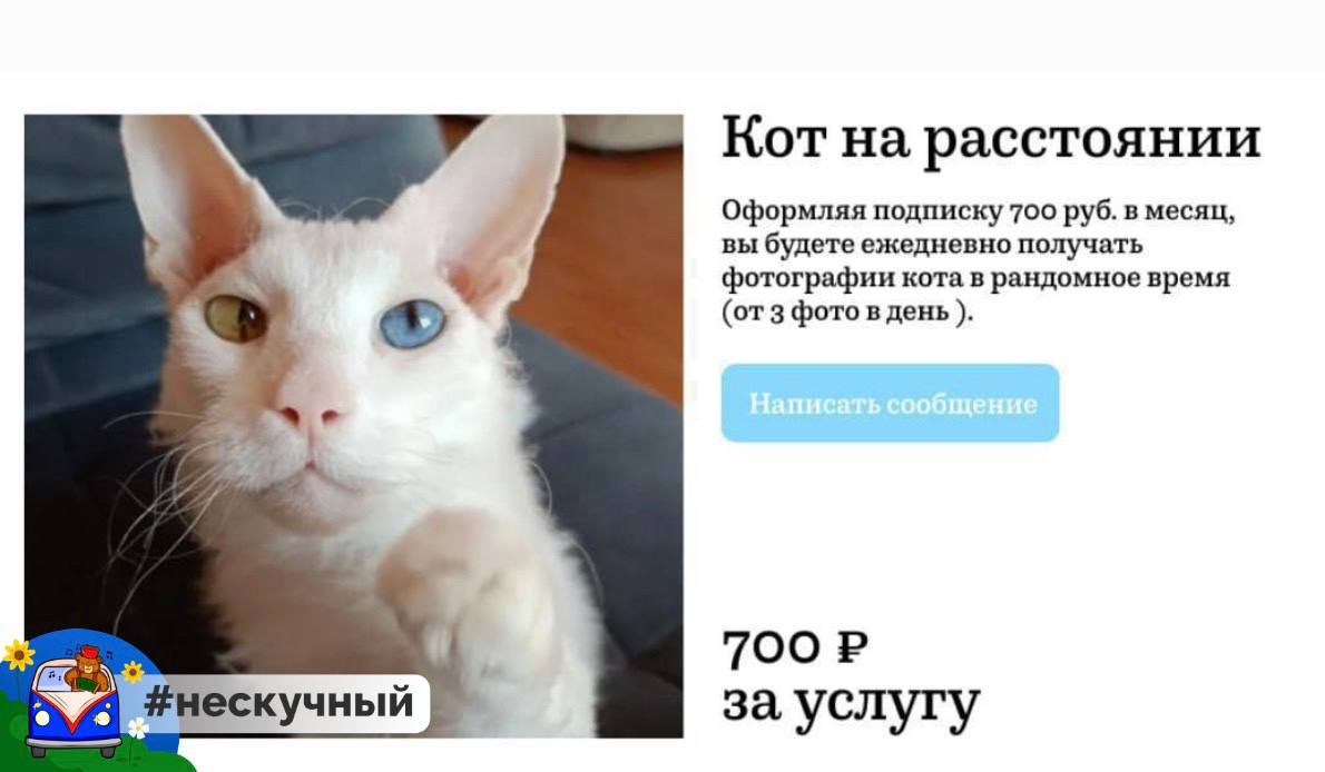 В России придумали новый бизнес — подписка на котиков Платишь деньги и в течение дня получаешь фотографии пушистика. Нам надо? Подписаться Прислать мероприятие