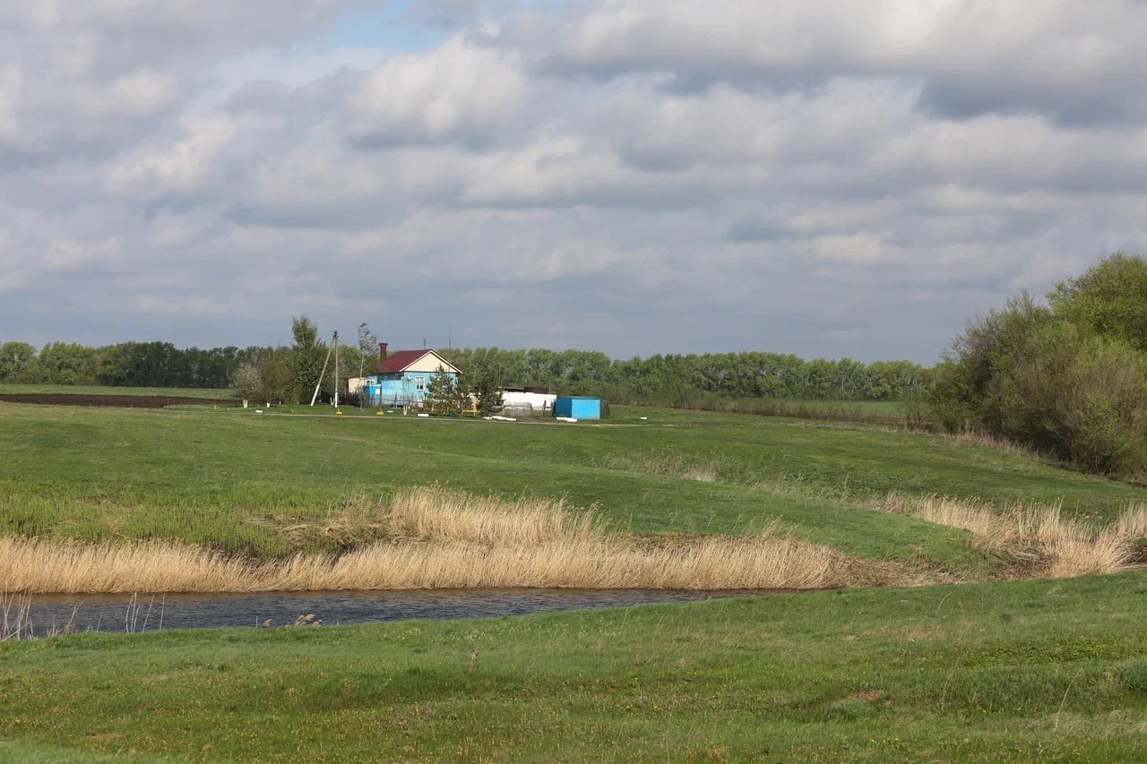 Непрофильным собственникам могут запретить передавать сельхозземли в залог Соответствующий законопроект внесен на рассмотрение в Госдуму Согласно действующем законодательству любые юридические и физические лица могут владеть участками из категории земель сельхозназначения и использовать их исключительно в качестве залога при получении кредитов По задумке авторов законопроекта запрет на передачу сельхозземель в залог для непрофильных собственников обеспечит оперативное вовлечение земель сельхозназначения в оборот при этом не затронет интересы добросовестных аграриев при привлечении финансирования Подробнее Подписывайтесь на нас в Telegram в MAX Оставляйте бусты