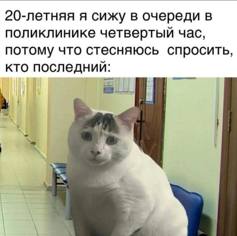 Закрывать больничный лист онлайн предложили по всей России: ходить к врачу не потребуется Первый зампред комитета Госдумы по информполитике Антон Ткачев направил министру здравоохранения Михаилу Мурашко письмо с предложением внедрить возможность дистанционного закрытия больничных листов для жителей всех регионов России. Он подчеркнул, что в Москве уже успешно тестируют удаленное закрытие больничного листа, и пора бы расширить эту практику на всю страну. Также многие люди предпочитают лечиться дома и консультироваться с врачами дистанционно. В связи с этим лишние походы в поликлинику можно и отменить.