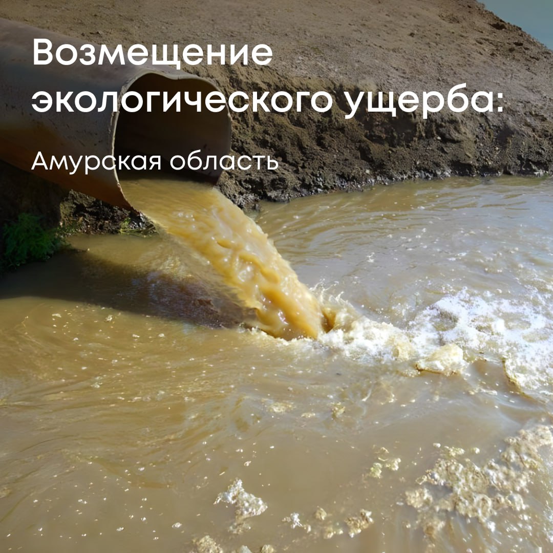 В селе Кустанаевка наши инспекторы обнаружили незаконный слив жидких бытовых отходов. Анализы почвы показали превышение нефтепродуктов, кобальта, нитритов и марганца.   Мы установили виновных и обратились в суд. Амурский областной суд обязал ООО «Районный водоканал», администрацию Белогорского округа и индивидуального предпринимателя солидарно возместить ущерб в размере 2,4 млн рублей.  За экологические нарушения отвечают все причастные стороны.