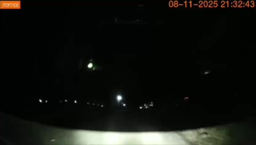 Тигр замечен в Заводском: жители Владивостока обеспокоены