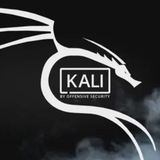 Аватар Телеграм канала: Kali Linux