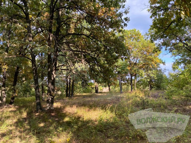 Снести беседки парк Волго Ахтубинская пойма обязали изгнать организатора турпоходов Арбитражный суд Волгоградской области удовлетворил иск Волжской межрегиональной природоохранной прокуратуры к природному парку Волго Ахтубинская пойма Надзорный орган потребовал признать недействительным договор администрации парка с ООО РА М ХА заключенный с целью выполнения мероприятий в области организации и развития регулируемого туризма и отдыха Также парк обязан снести некапитальные постройки на территории лесного фонда установленные для туристов 4 деревянные беседки 2 хозпостройки и деревянное ограждение Парком фирме был передан участок земли на территории Сахарного участкового лесничества в Среднеахтубинском районе Подробнее на Волжский ру www volzsky ru index php wx 16 wx2 81635 ВолжскийРу волжский vlz