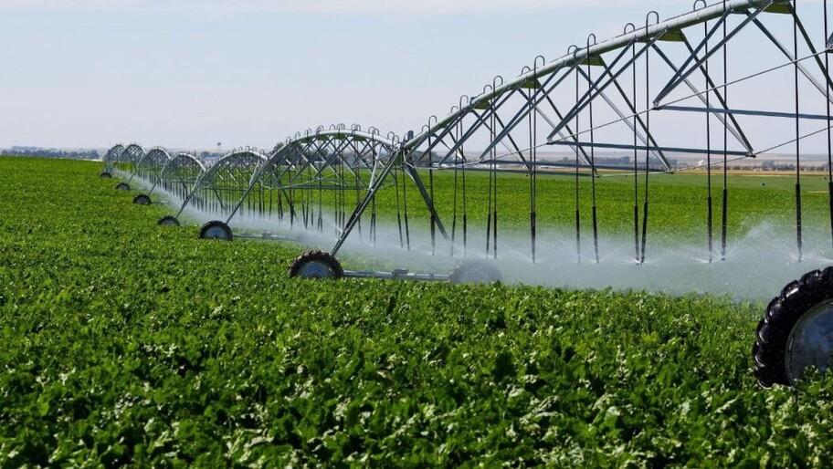 Первый проект по программе мелиорации реализуют в Херсонской области Аграрии Херсонской области до конца 2025 года реализуют первый проект по программе мелиорации сообщила в интервью ХАН и о министра агропромышленного комплекса продовольственной политики и рыболовства Херсонской области Алиме Зарединова По программе мелиорации в этом году первый проект будет реализован Если сельхозпроизводитель хочет пробурить скважину и ее использовать нужно подать документы на получение лицензии на бурение Вместе с тем необходимо подать документы в проектную организацию для разработки проектов формирования мелиоративной сети После реализации проекта фермер может претендовать на возмещение 50 затрат сказала и о министра Она рассчитывает что в 2026 году будет реализовано больше таких проектов Полное интервью с Алиме Зарединовой читайте 20 ноября на сайте Херсонского агентства новостей