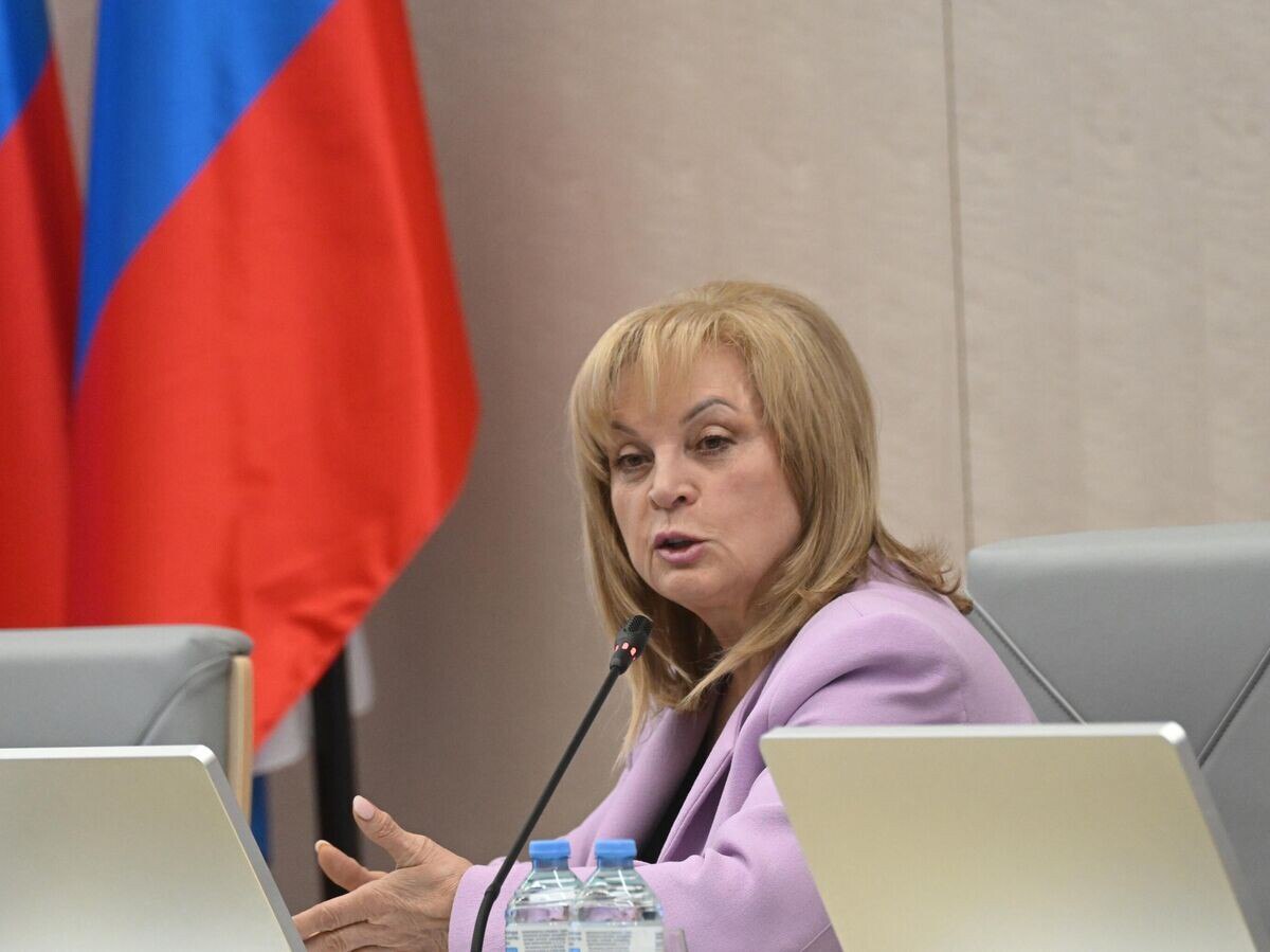 Глава ЦИК РФ Элла Памфилова назвала интернет недружественной России паутиной