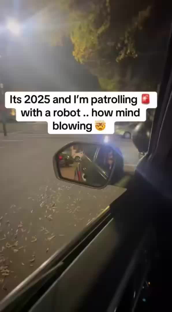 Индийские операторы управляют робособаками в Атланте