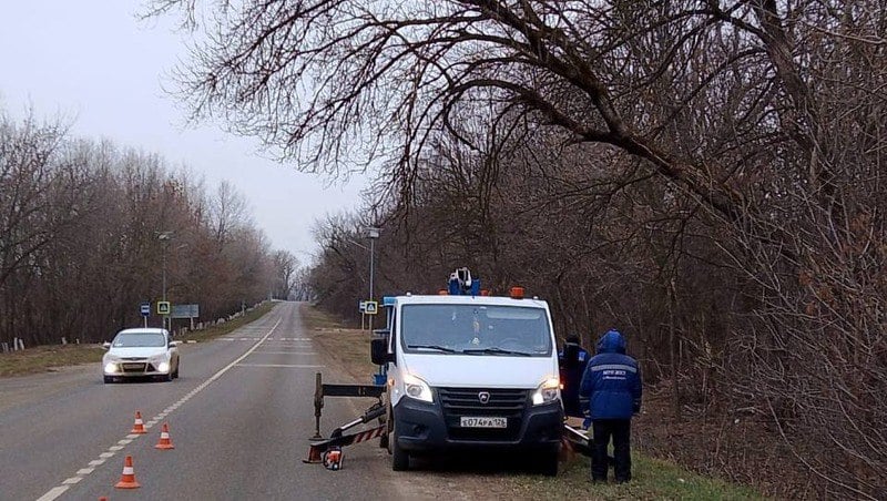 Нависшие над трассой Михайловск — Казинка ветви обрезали после обращения в «Победу26»  Насаждения, о которых идёт речь, находятся в районе хутора Кожевников Шпаковского округа.    «Огромные сухие деревья нависают над дорогой. Во время ветра падают большие отростки, несколько раз чудом удавалось уворачиваться от них. Службы не следят за состоянием, не пилят опасные ветки. Несколько лет назад жители населённых пунктов, которые каждый день ездят по этой дороге в Ставрополь, собирали подписи и через СМИ добились того, чтобы службы спилили опасные деревья. Спустя время ситуация снова повторяется», — написал местный житель.  После обращения «Победы26» в миндор Ставрополья на место приехали рабочие и обрезали ветки.     Напомним, направить обращение в редакцию можно на электронную почту address .ru, а также в WhatsApp и Telegram по номеру +7 906 475-22-06.