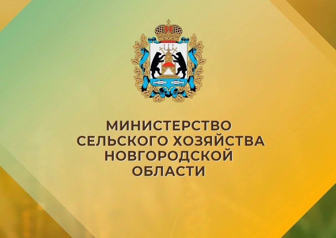 В правительстве Новгородской области начался открытый отбор на должность министра сельского хозяйства Основные требования к кандидатам включают наличие высшего образования опыт работы в сфере сельского хозяйства не менее 4 лет и управленческий опыт от 2 лет От претендентов на должность ожидается ориентация на результат умение организовать и мотивировать команду высокая работоспособность и профессионализм а также способность работать с большим объемом информации Взамен предлагается конкурентная заработная плата единовременная выплата к отпуску компенсация на лечение и оздоровление а также возмещение расходов на оплату найма жилья в случае отсутствия собственного жилья в Великом Новгороде Успешный кандидат сможет рассчитывать на отпуск в 43 календарных дня страхование жизни и здоровья а также ежегодную диспансеризацию за счет работодателя Конкурсный отбор будет проходить в несколько этапов прием заявок прием документов оценка личностно профессионального уровня индивидуальное собеседование
