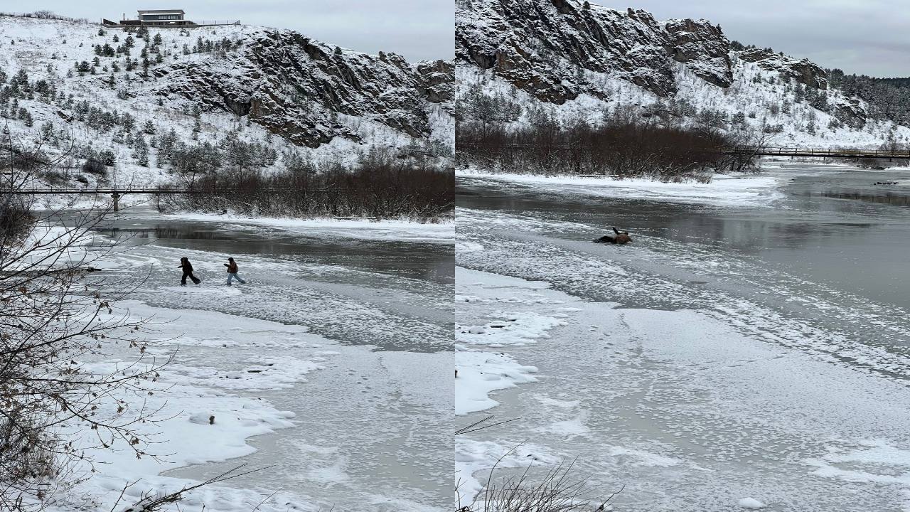 В Юрюзани Челябинской области местная жительница предотвратила ЧП На Южном Урале произошел случай который стал ярким примером того как бдительность и сознательность одного человека могут спасти жизни В Юрюзани местная жительница проезжая мимо водоема заметила двух девочек беззаботно гуляющих по тонкому льду Это зрелище которое могло закончиться трагически не осталось незамеченным Женщина развернула автомобиль и крикнула детям чтобы они немедленно покинули лед Речка течет еще Провалятся не дай бог ведь и никто не спасет с тревогой рассказала в соцсетях жительница Юрюзани В итоге дети ушли на берег Однако несмотря на это женщина понимала что школьницы вновь могут вернуться на лед не осознавая всей серьезности ситуации К сожалению не все прохожие проявили такую же бдительность Многие люди проходя мимо по мосту просто наблюдали за происходящим Они продолжали идти по своим делам не обращая внимания на подростков которые находились в опасности Подписывайтесь на Вести Южный Урал в MAХ