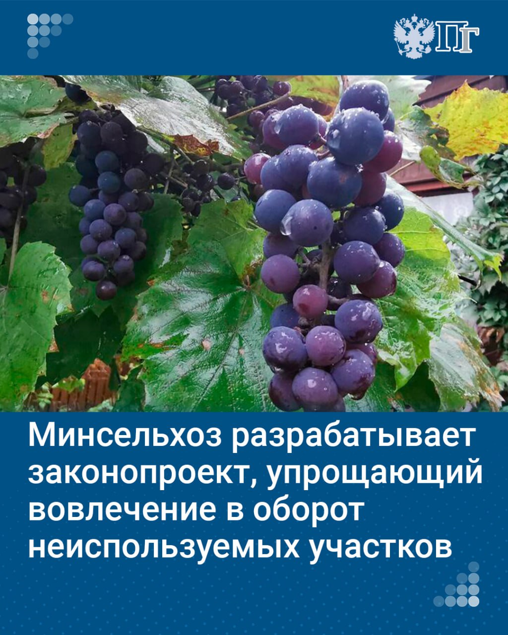 В России создадут генеральную карту-схему земель сельскохозяйственного назначения. В ней определят границы участков, в том числе бесхозных. Это поможет инвесторам быстрее приобрести землю и пустить ее в оборот.  Программу вовлечения сельскохозяйственных земель в оборот, а также разработку нового законопроекта о землеустройстве обсуждали на семинаре-совещании в Совете Федерации 4 декабря. Документ, в частности, упростит порядок изъятия неиспользованной земли, а также механизм перевода земель из одной категории в другую.    «Парламентская газета» выяснила, какое количество сельскохозяйственных земель не используют сегодня в России, почему простаивает земля, что на ней планируют выращивать.   Подписаться на «Парламентскую газету»