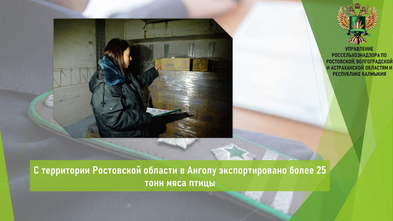 Управлением Россельхознадзора в период с 20 по 27 января в местах полного таможенного оформления Ростовской области досмотрена и оформлена на экспорт партия мяса птицы  25,7 т  в Анголу.    Продукция признана безопасной в ветеринарно-санитарном отношении и в полном объеме соответствует требованиям страны-импортера. Ее качество и безопасность подтверждены результатами лабораторных исследований.  По результатам мониторинга данных ФГИС «Меркурий», в части касающейся законности происхождения экспортируемой продукции нарушений не выявлено. Разрешение на вывоз выдано Россельхознадзором в автоматизированной системе «Аргус».    Открыть полный текст  #Ветеринарный_надзор #Ввоз_вывоз_транзит #Экспорт