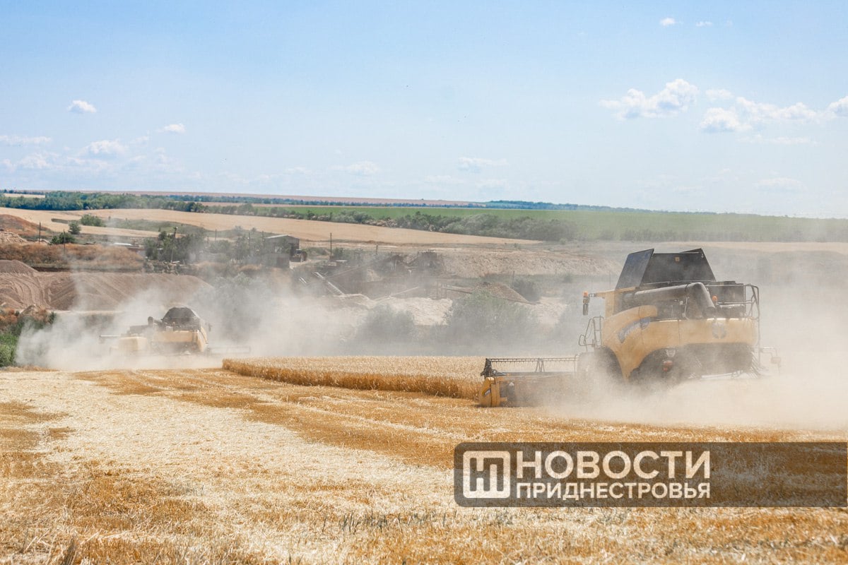 Приднестровье полностью обеспечено собственной пшеницей, рассказал на совещании у Президента Вадима Красносельского премьер Александр Розенберг.   Урожай практически не уступает уровню прошлого года.