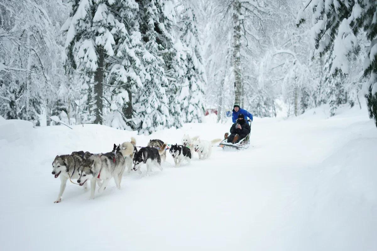Арабские туристы все чаще выбирают Россию ради снега и зимних развлечений В Минэкономразвития заявили что гостей из стран Персидского залива привлекают русская зима арктические туры катание на снегоходах и хаски бани и купание в проруби Растет интерес к Сочи зимой и поездкам в регионы вокруг Москвы tipical vizovik