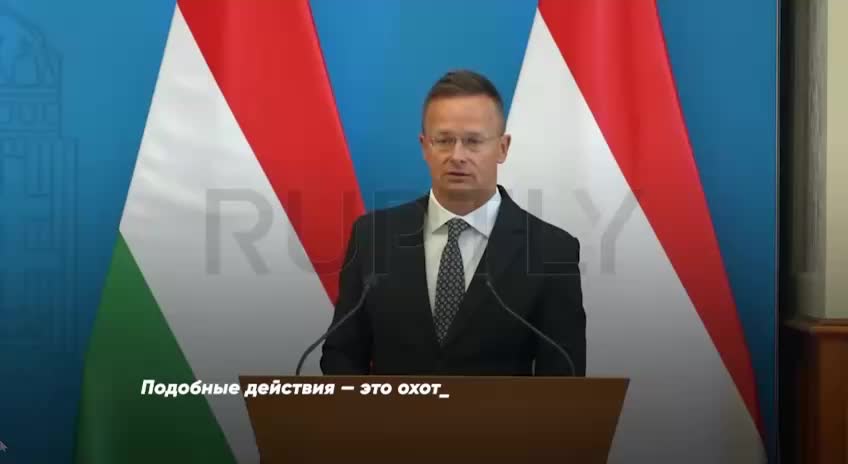 Министр Венгрии сообщает о похищениях граждан на Украине для принудительной мобилизации