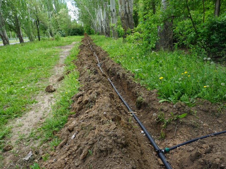 В Волжском за 1,4 миллиона рублей обустроят новый участок с поливом  Накануне на сайте госзакупок опубликовали электронный аукцион на устройство поливочного водопровода по улице им. Ф.Г. Логинова. Как узнал Волжский.ру из документов, полив появится на участке протяжённостью почти 1,3 километра от улицы Портовой до улицы Заволжской. Подрядчику предстоит подготовить траншеи для труб разного диаметра, счетчик на воду, фильтры, клапаны и другое. При этом необходимо ежедневно убирать за собой мусор. Заказчиком выступает Комитет благоустройства и дорожного хозяйства. Максимальная стоимость закупки достигает 1,4 миллиона рублей. Выполнить работы необходимо в течение 10 дней с даты заключения контракта.   Подробнее на Волжский.ру: