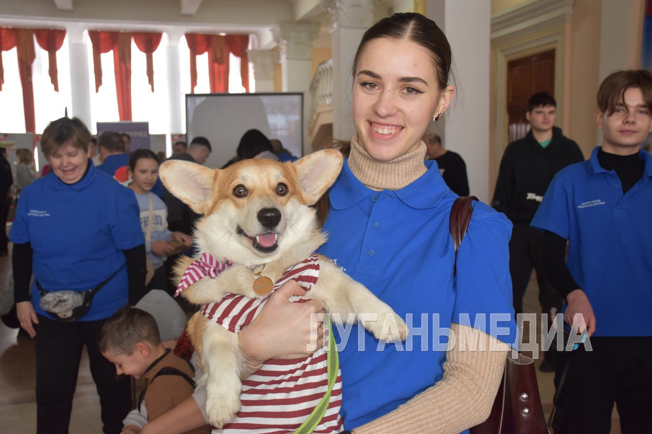 В Стаханов с очередным визитом приехал корги-отряд «Маруся и друзья»   Корги-отряд «Маруся и друзья» побывал сегодня в Стаханове и встретился с особенными детьми. Это уже третий визит представителей волонтерского движения в город. Тесное сотрудничество зародилось прошлым летом и уже дало определенные результаты.    Основатель «Корги-отряда «Маруся и друзья» Леонид Киселев представил участникам мероприятия добровольцев из ЛНР, которые влились во Всероссийское волонтерское движение. Теперь в республике действует первый корги-отряд из 8 собак.   Волонтеры провели терапевтическое занятие для воспитанников местного отделения «Республиканского центра социальной реабилитации детей-инвалидов «Возрождение».    Также в ходе мероприятия его участники могли ознакомиться с мобильной выставкой Центрального музея Военно-воздушных сил в Монино.            Вконтакте       Одноклаcсники