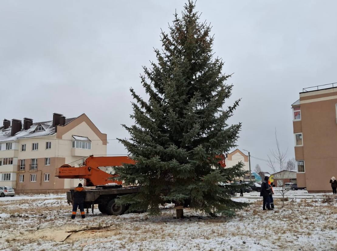 Новогоднюю ель установили в уфимской Максимовке  "12-ти метровое дерево несколько десятков лет росло на территории одного из частных домов в самой Максимовке и по инициативе собственника было передано для оформления новогоднего городка", - написал глава Калининского района города Газизьян Ахмедьянов.