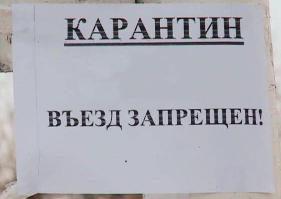 В Чистозерном районе Новосибирской области зафиксировали очаг бешенства. На территории субъекта был введен карантин по постановлению губернатора Андрея Травникова. Карантин был введен с 22 июля. Очаг заражения выявили на ферме в деревне Царицыно. Сейчас на территории села ограничено перемещение домашних животных, проведение ярмарок и так далее. Все запреты будут действительны до 19 сентября. Ранее в регионе очаг бешенства был выявлен в Баганском районе. #новосибирск