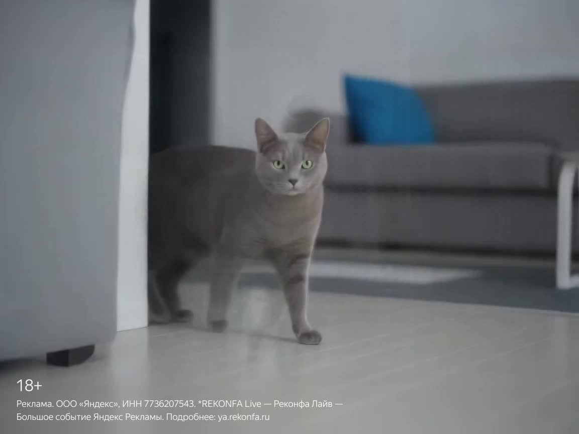 Яндекс Реклама запускает REKONFA Live с участием экспертов и маркетинговым квестом