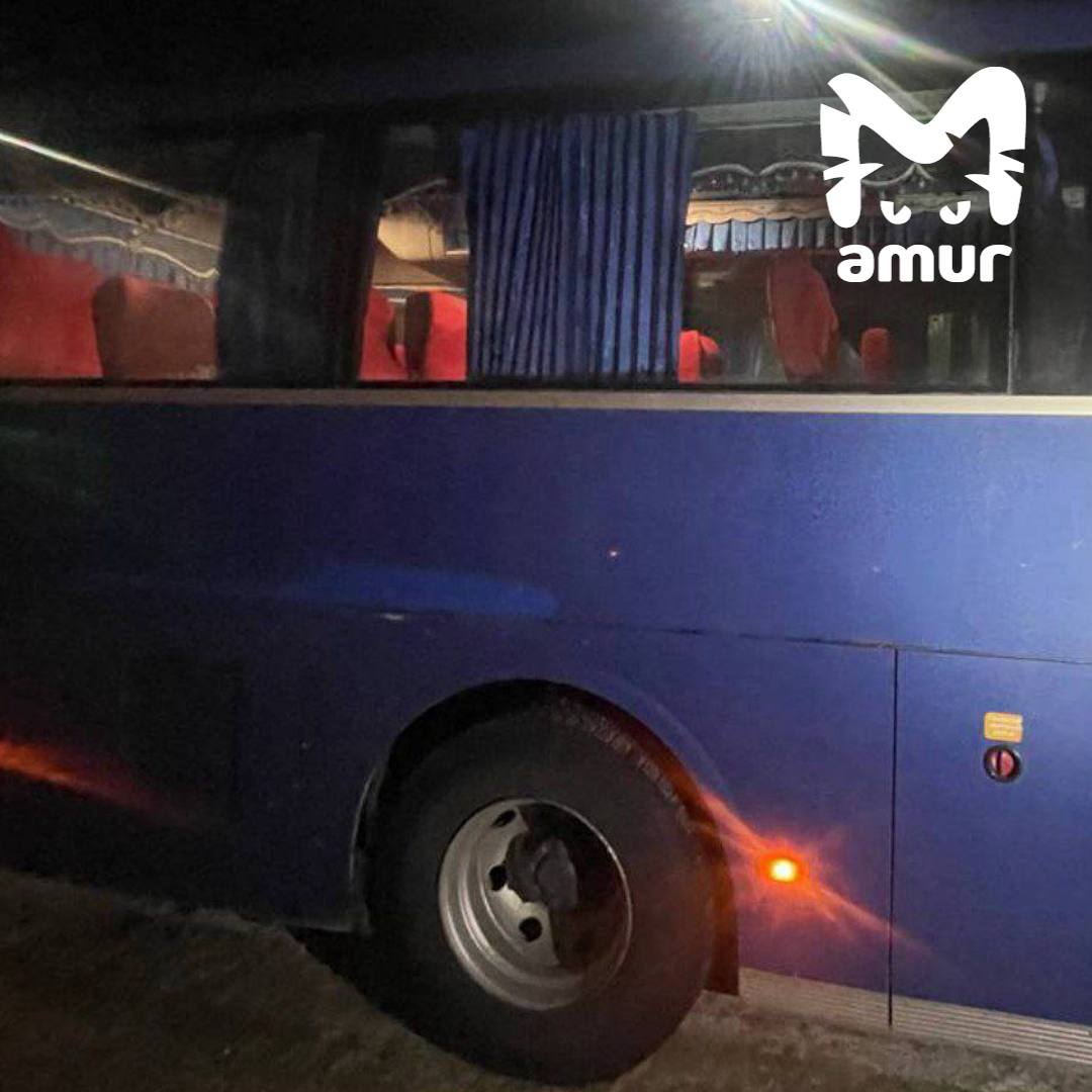 Студент обстрелял автобус в Хабаровском крае 19 летний парень гулял с друзьями по Советской Гавани решил похвастаться купленным пневматом Шмальнул несколько раз в сторону дороги на Пионерской и попал в служебную машину которая везла работяг со смены К счастью пострадал только кузов Снайпера задержали возбуждено уголовное дело о хулиганстве   Подписывайся на Amur Mash