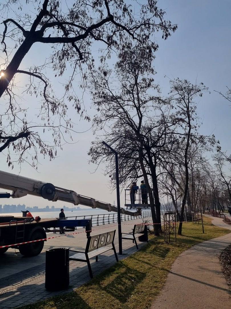 На Петровской набережной высадят почти 90 тысяч растений На набережной высаживают гранатные рябины и яблони Маковецкого. Также набережную украсят спиреи, гортензии, ива пурпурная, можжевельники и даже сосны. Всего на территории второй очереди появится более 20 тысяч саженцев кустарников. Подписаться Прислать новость